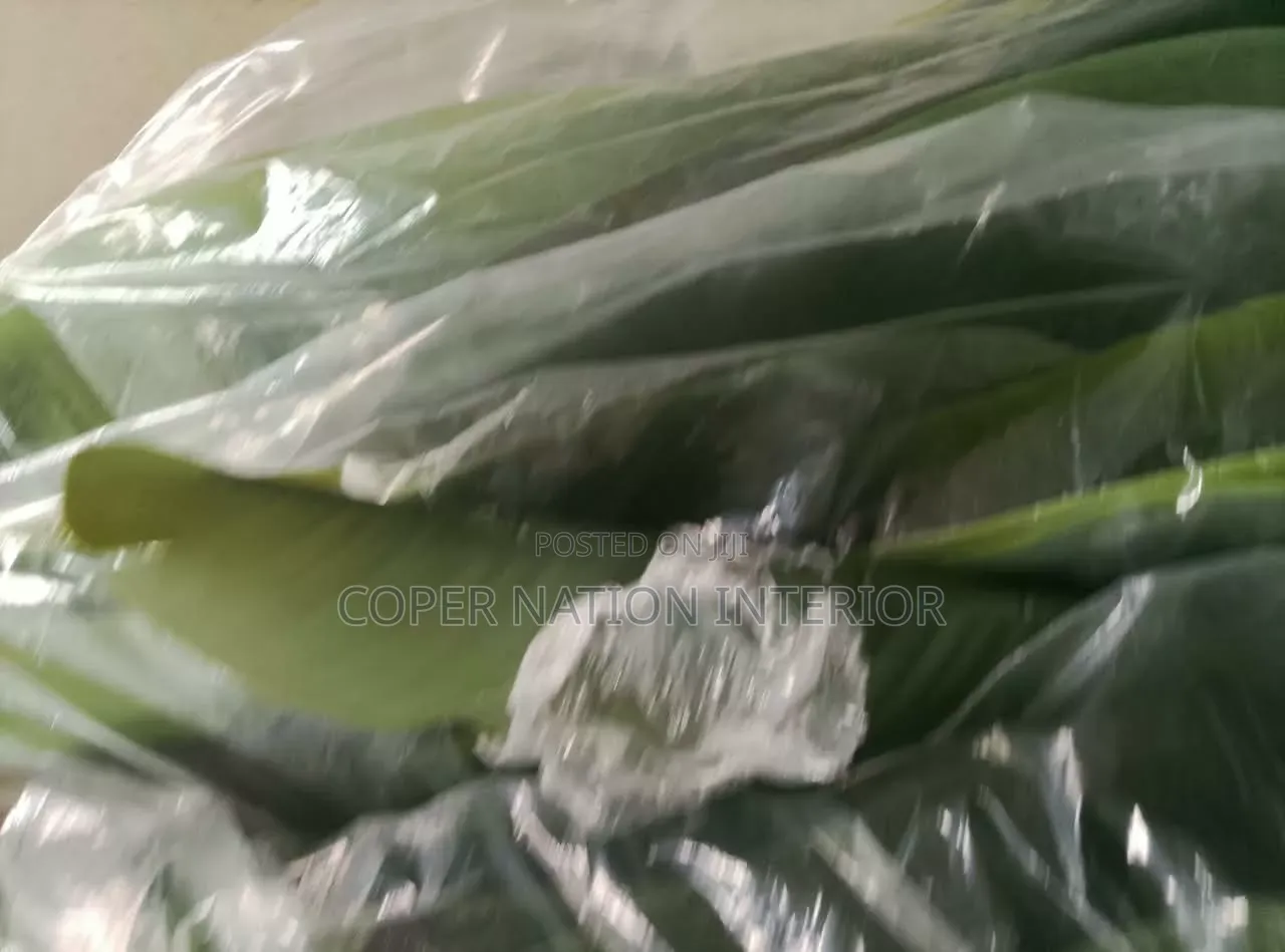 Artificial Plant Available in Bulk. Original Artificial Plant 100%