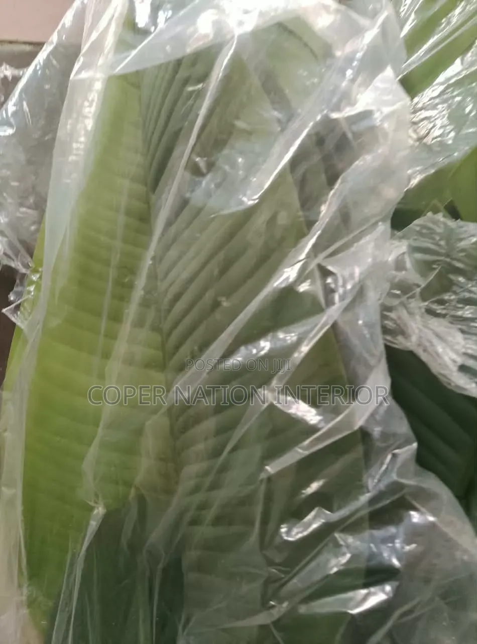 Artificial Plant Available in Bulk. Original Artificial Plant 100%