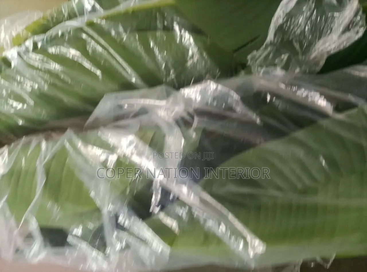 Artificial Plant Available in Bulk. Original Artificial Plant 100%