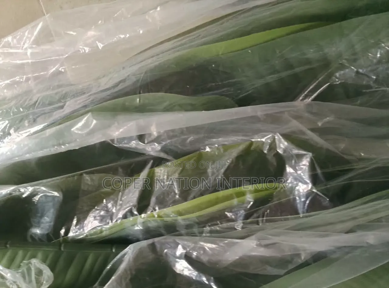 Artificial Plant Available in Bulk. Original Artificial Plant 100%