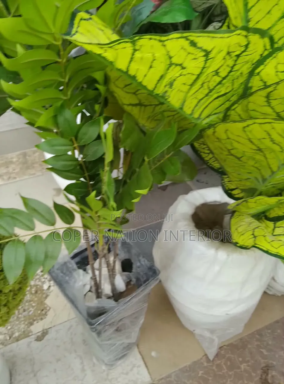 Artificial Flower Available for Wholesers and Retailers High Quality