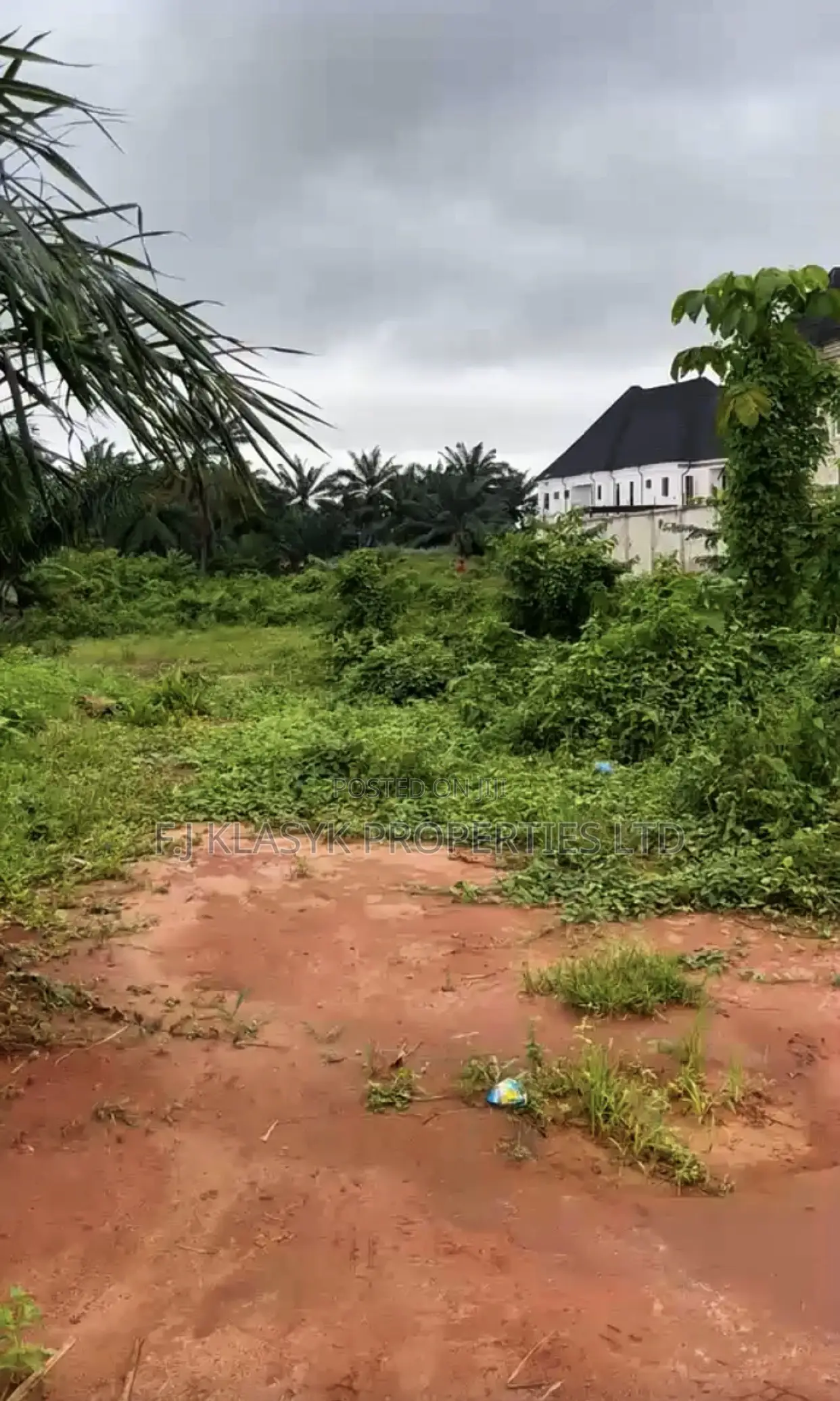 100ft by 100ft, a Cut Out at Benin City
