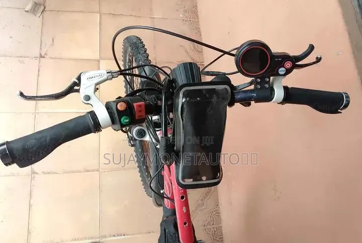 Electric Bicycle