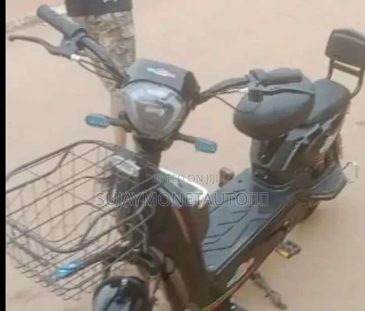Electric Scooter With Charger