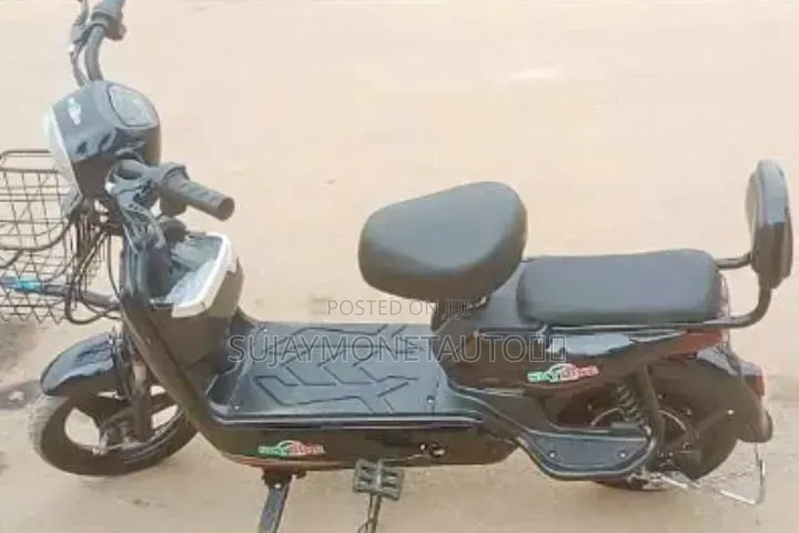 Electric Scooter With Charger