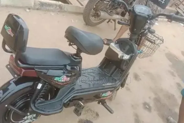 Electric Scooter With Charger