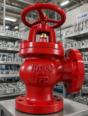 Industrial Globe Flanged Angle Valve JIS(-80)