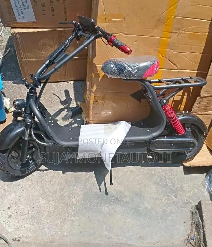 Electric Scooter Bike