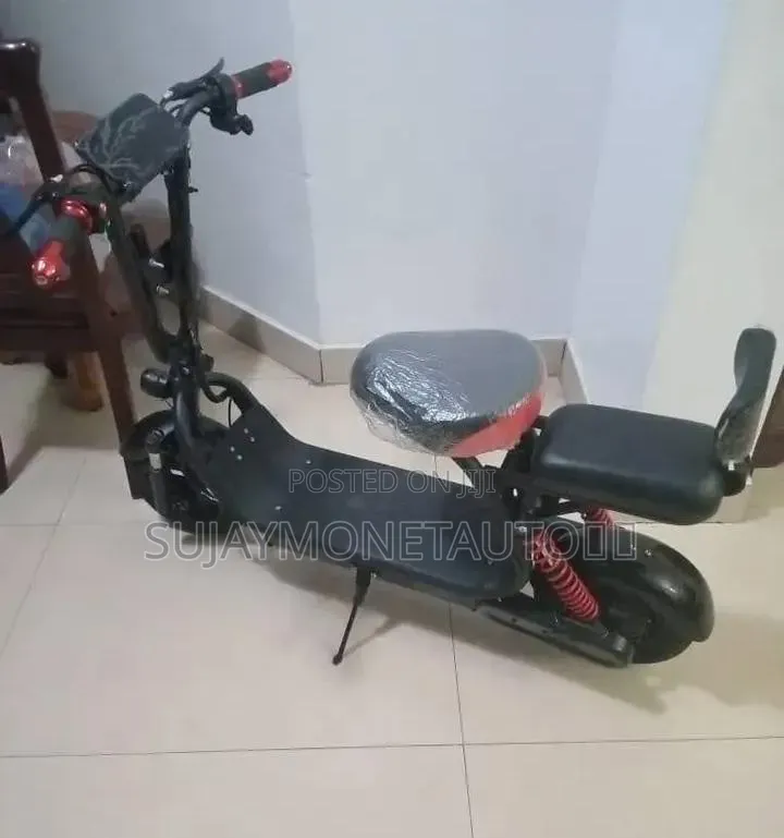Electric Scooter Bike