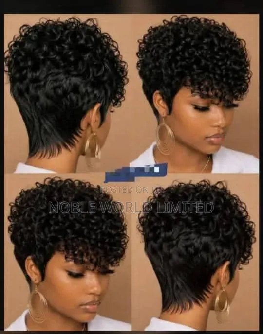 Short Curly Wigs 01