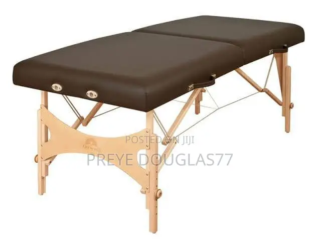 Premium Earthlite Portable Massage Table (Professional Hardwood)