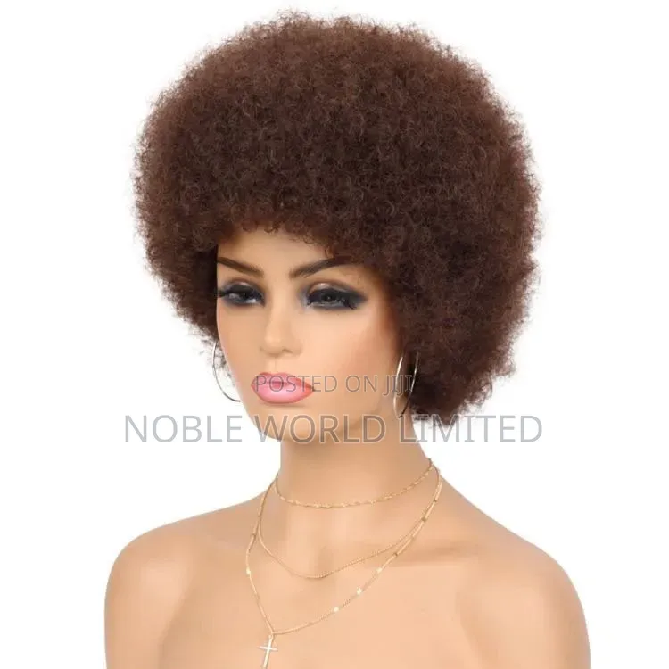 Afro Wig Human Hair