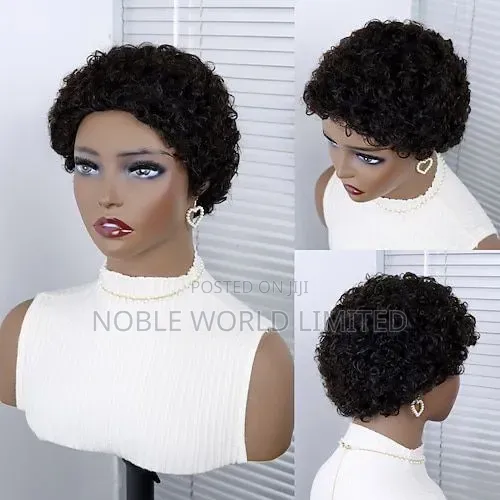 Short Human Hair Wig