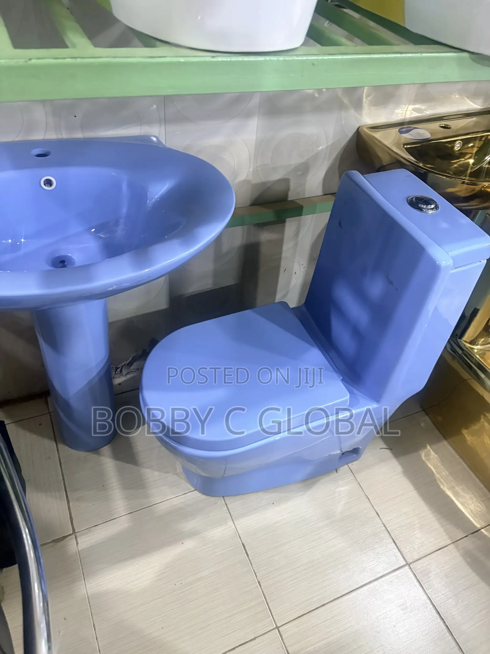 Stylish Durable Sanitary Blue WC Toilet