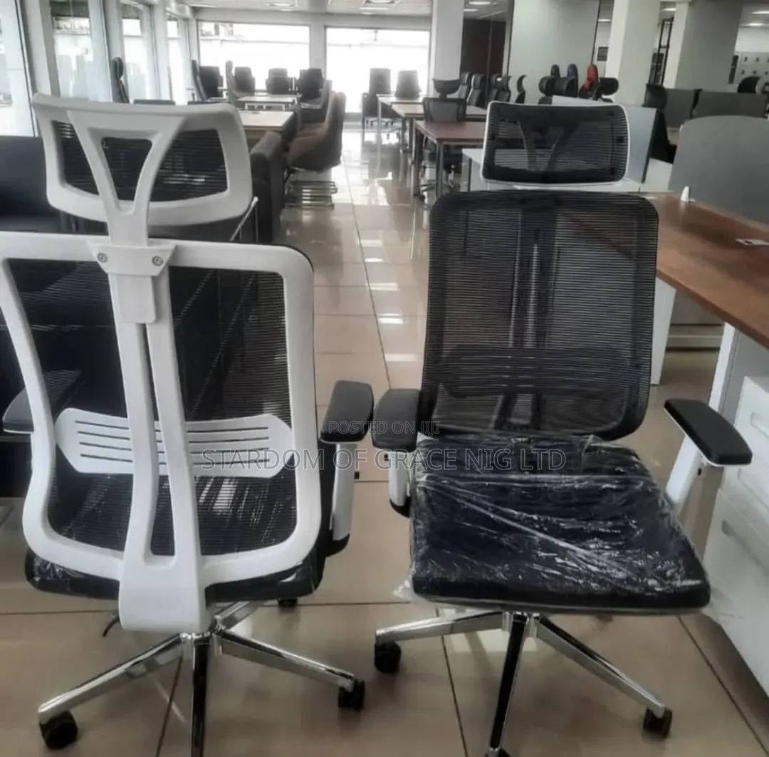 Mesh Ergonomic Two Color Home Office Chair