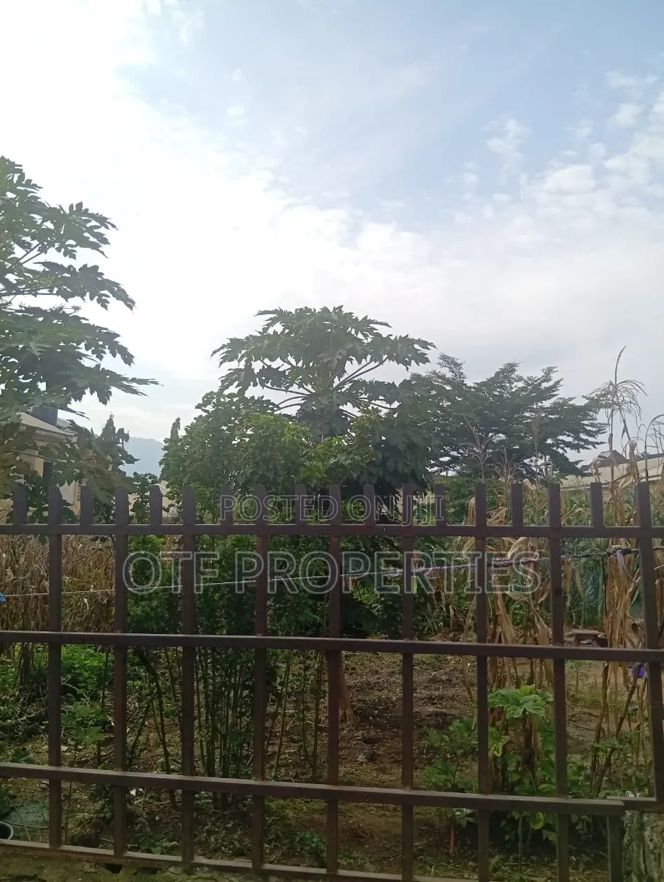 Big Plot of Land in 2/1 Kubwa