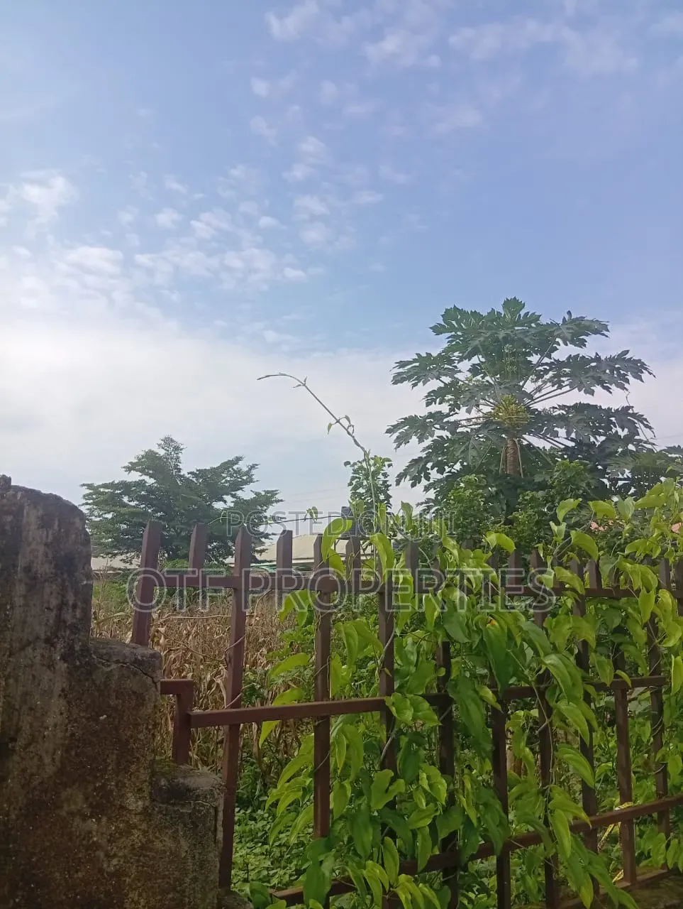 Big Plot of Land in 2/1 Kubwa