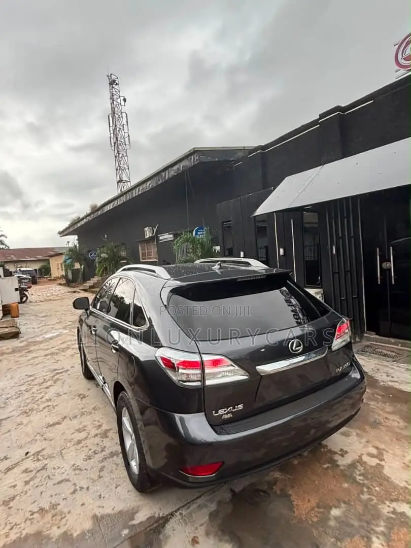 Lexus RX 2010 Black