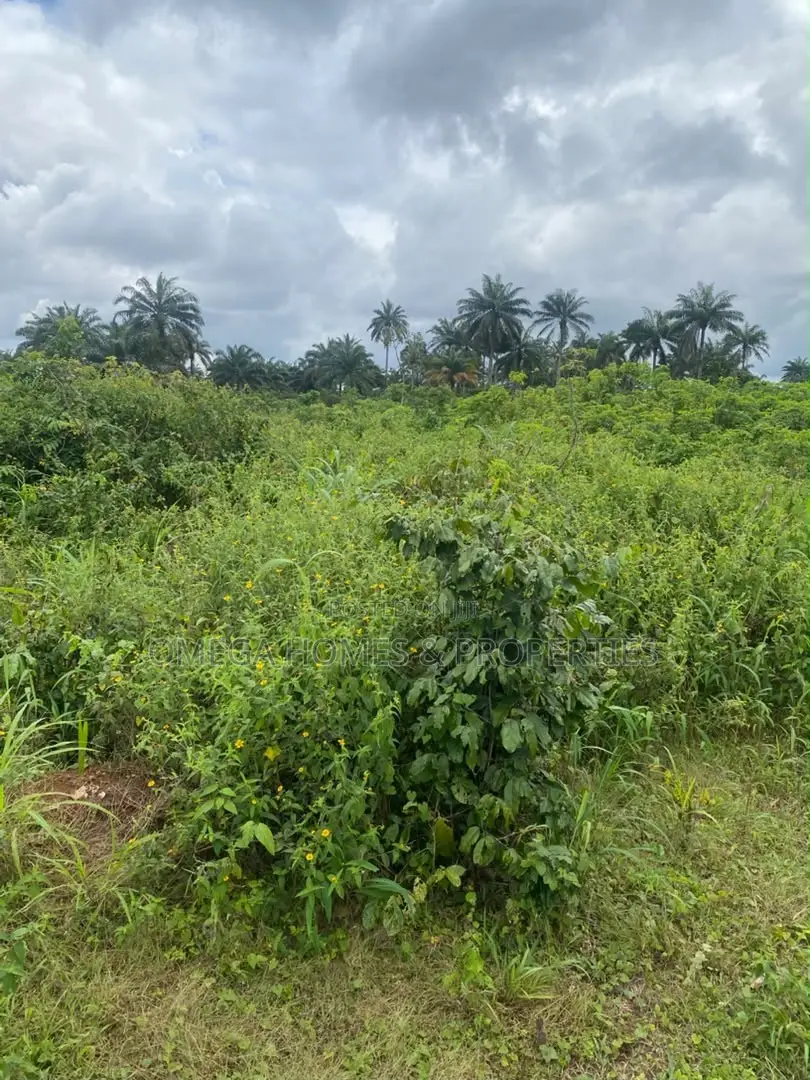 1 Full Plot of Land at Amaoba Estate in Old Umuahia