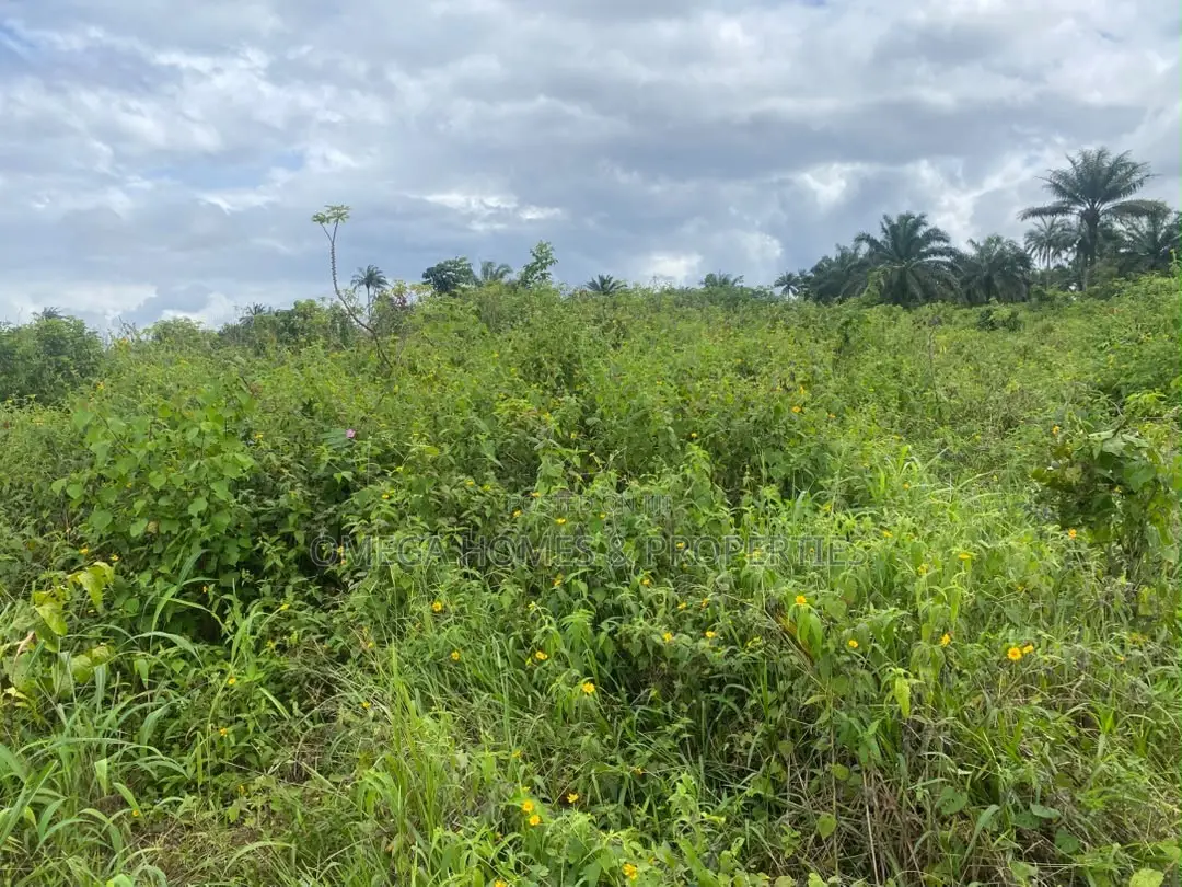 1 Full Plot of Land at Amaoba Estate in Old Umuahia