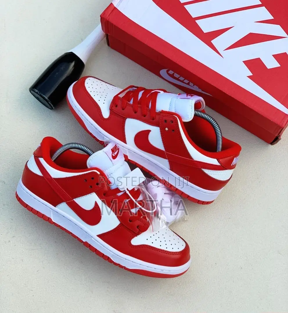 Beautiful Luxury Sb Nike