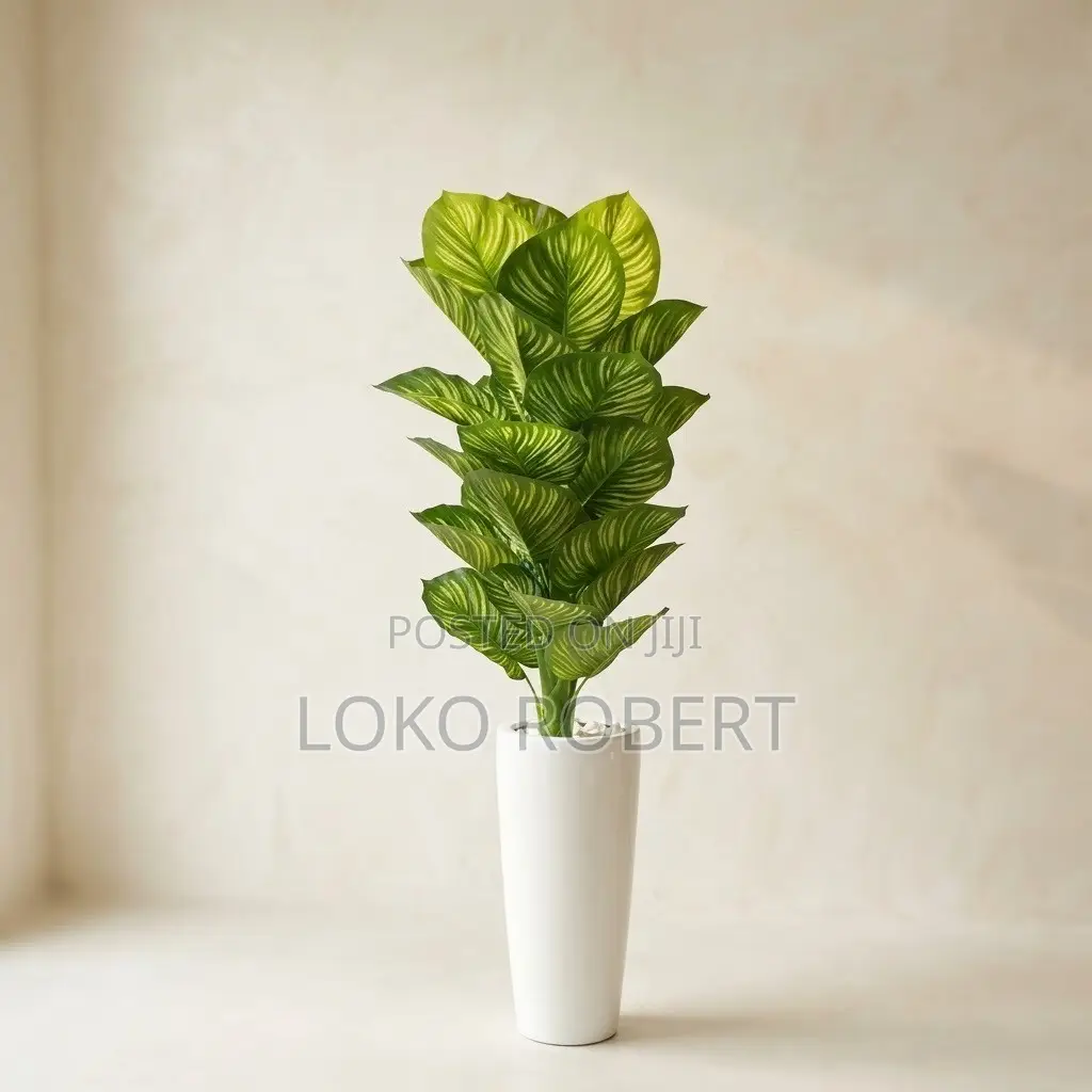 Large Artificial Flower Vase Calathea / Zebra Plant With White