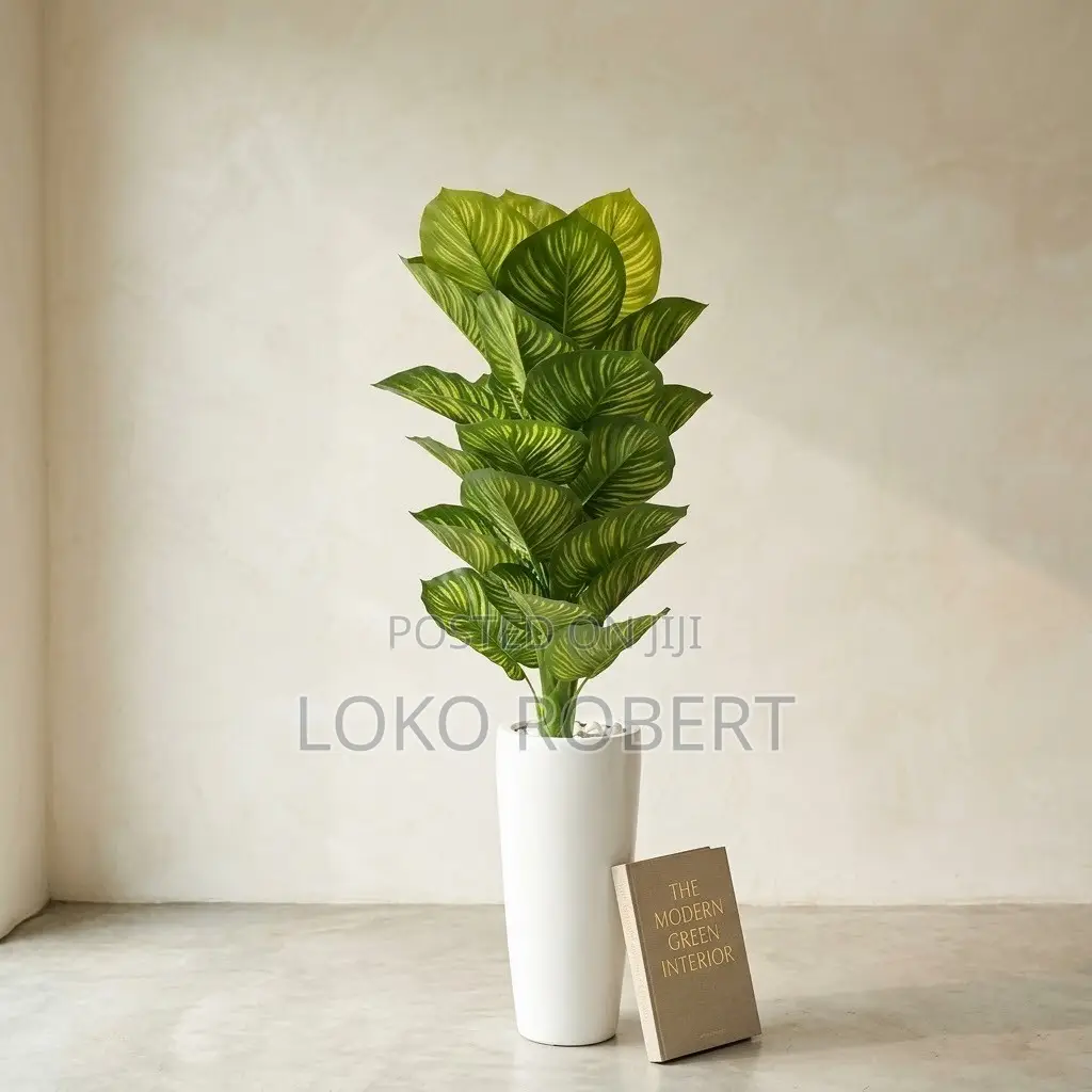 Large Artificial Flower Vase Calathea / Zebra Plant With White