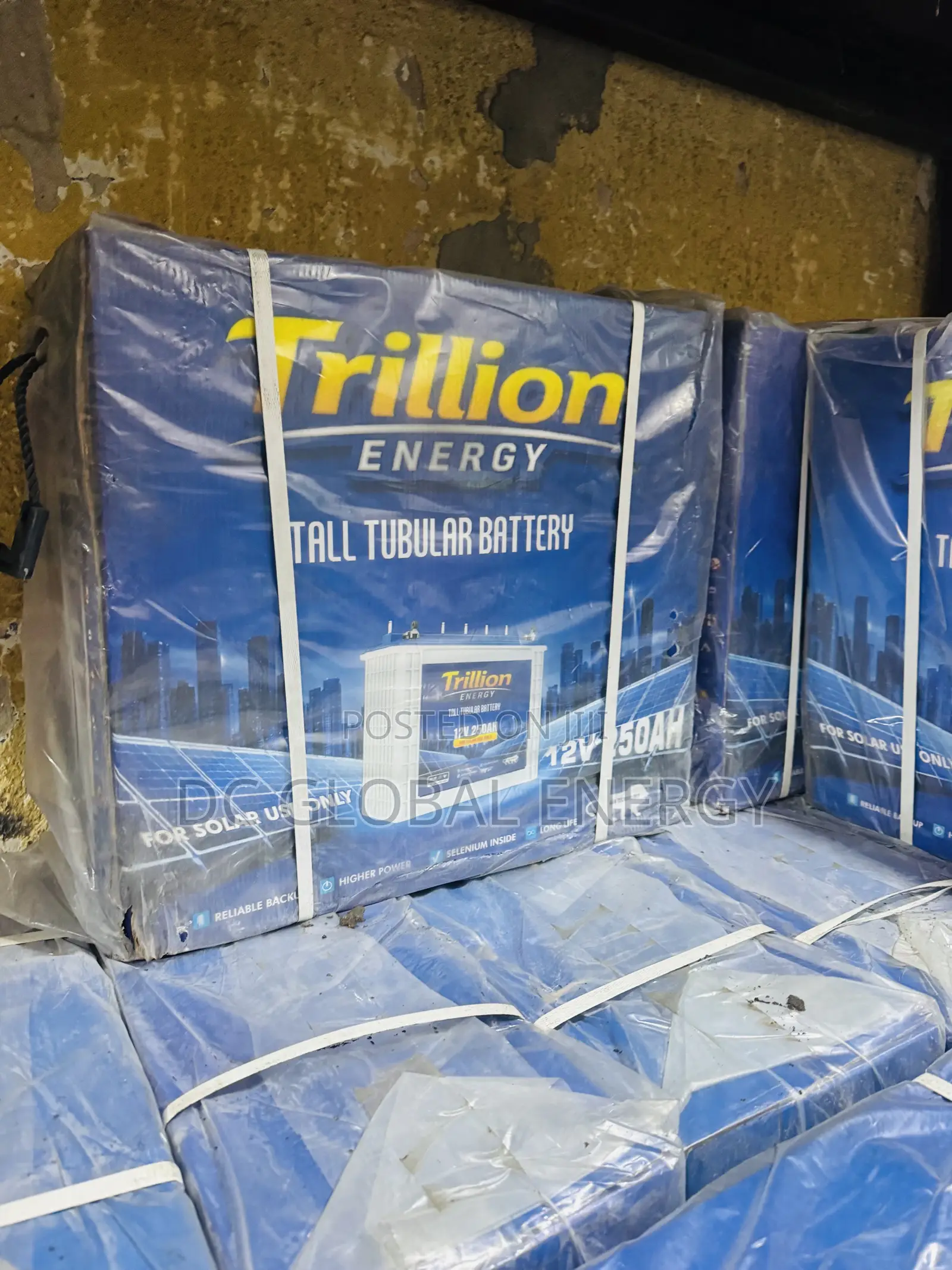 250ah Trillion Energy Tubular Battery