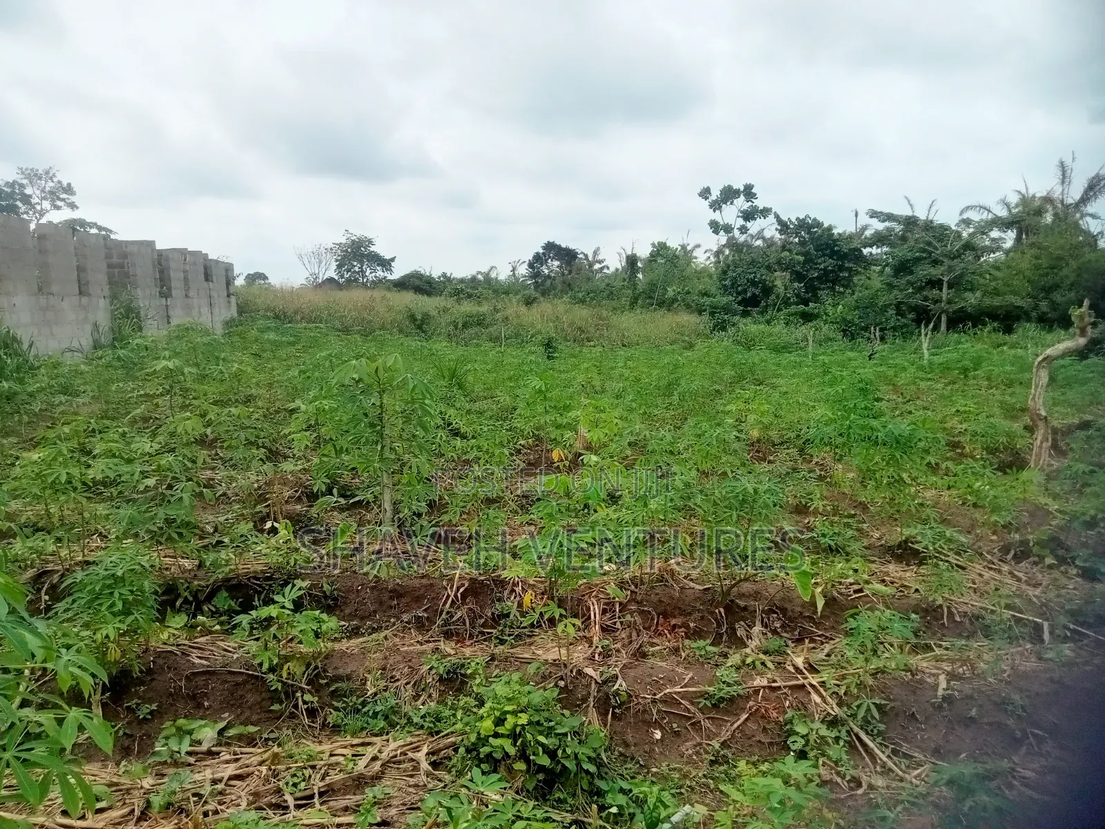 Half Plot for Sale Abiola Arobieye 5m