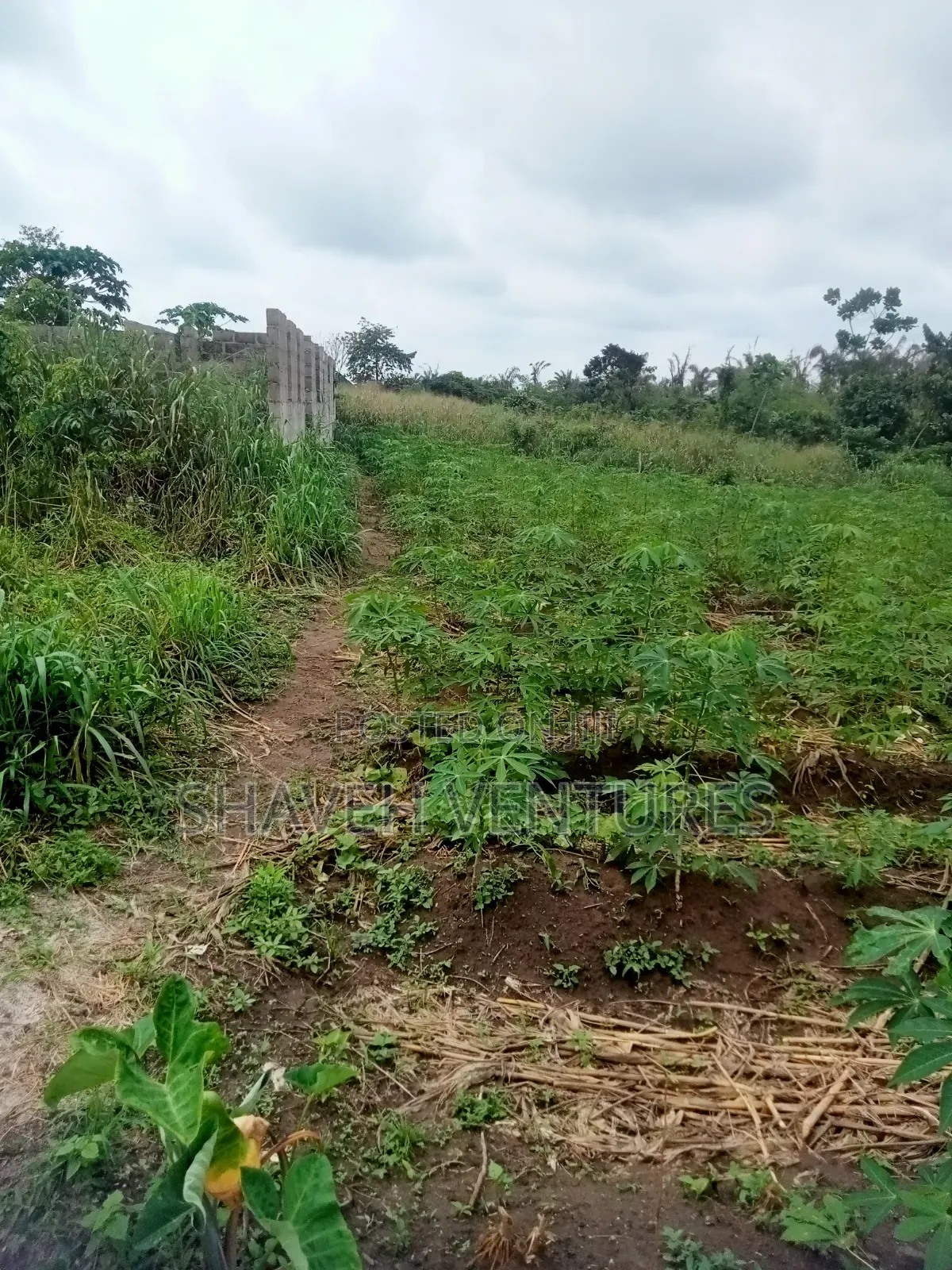 Half Plot for Sale Abiola Arobieye 5m