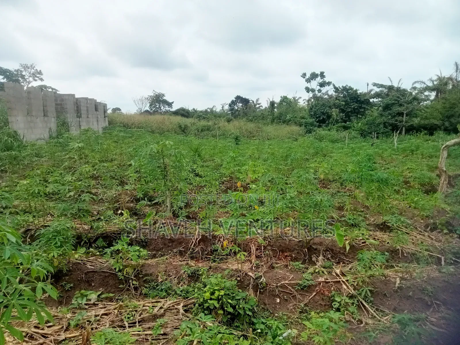 Half Plot for Sale Abiola Arobieye 5m