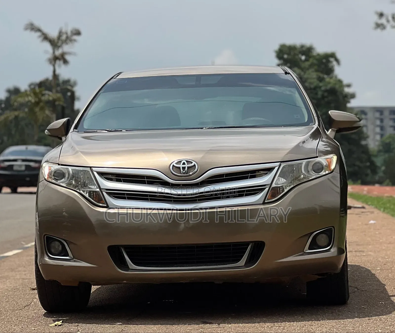 Toyota Venza 2010 Brown