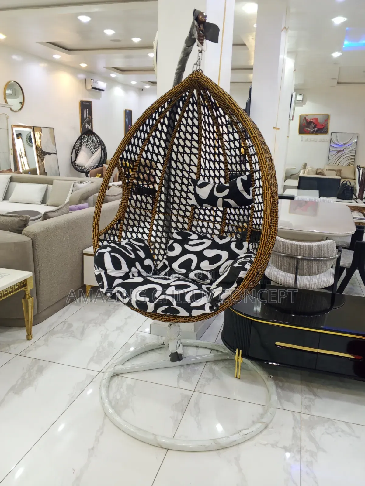 Elegant Hanging Egg Chair With Cushioned Seat