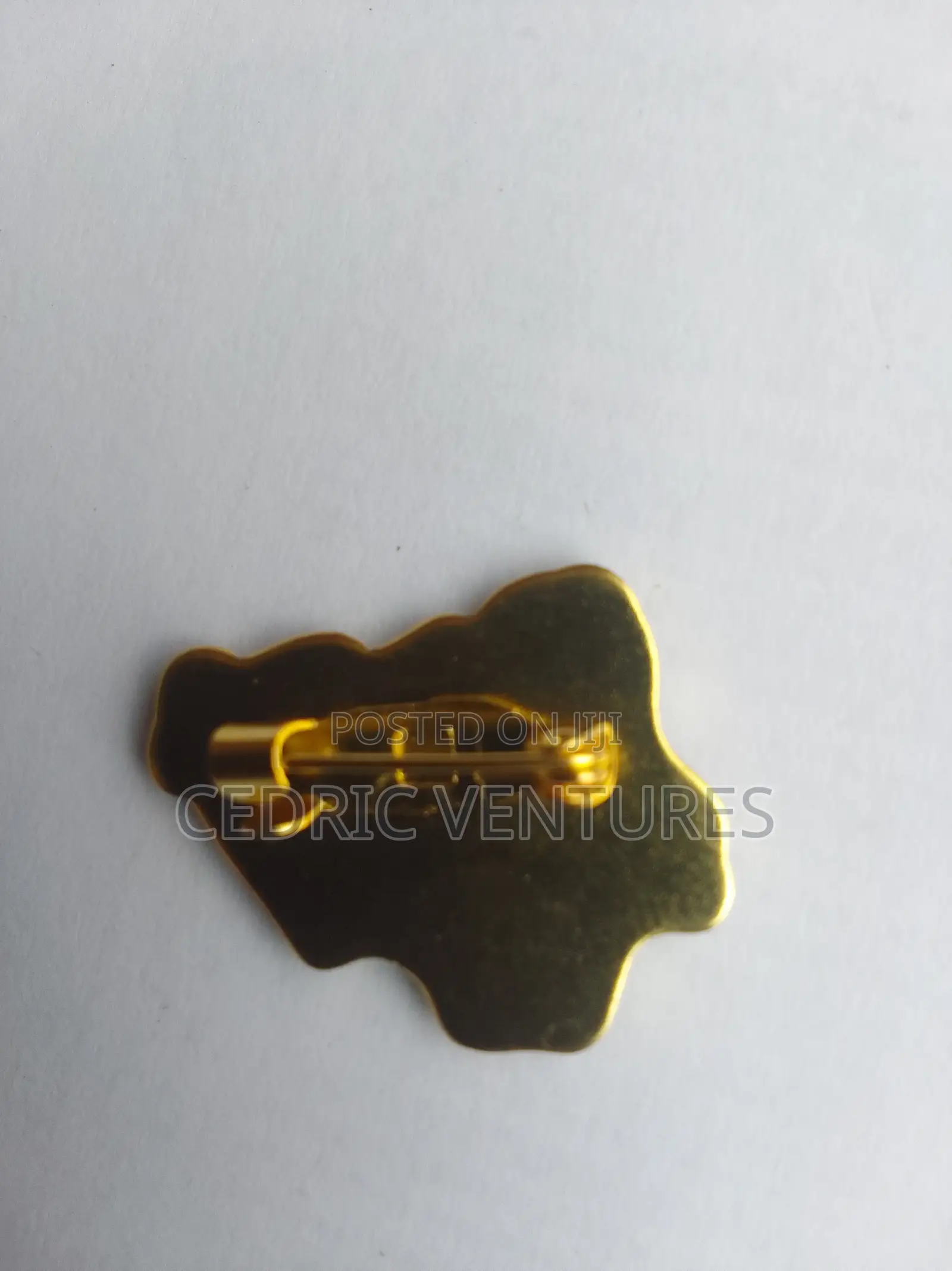 Nigerian Map Shape Lapel Pin