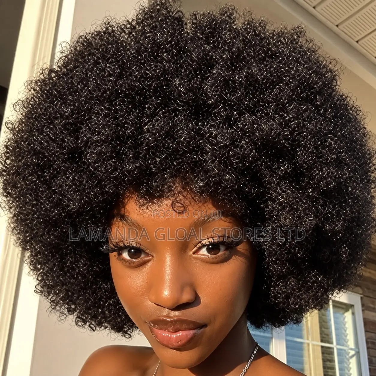Kinky Afro Curly Human Hair Wig
