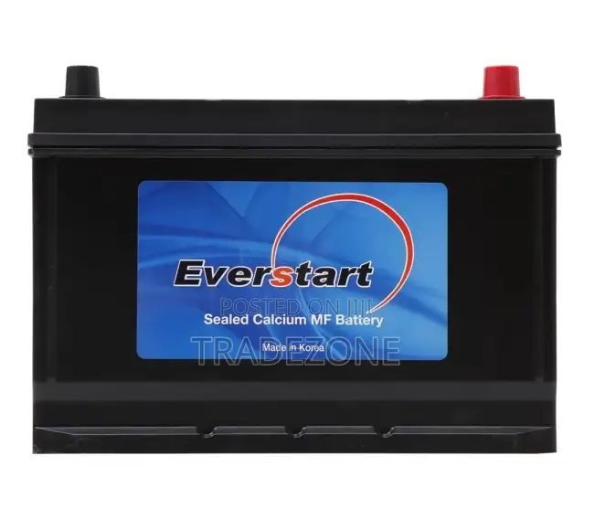 Everstart 12v 100ah Car Battery