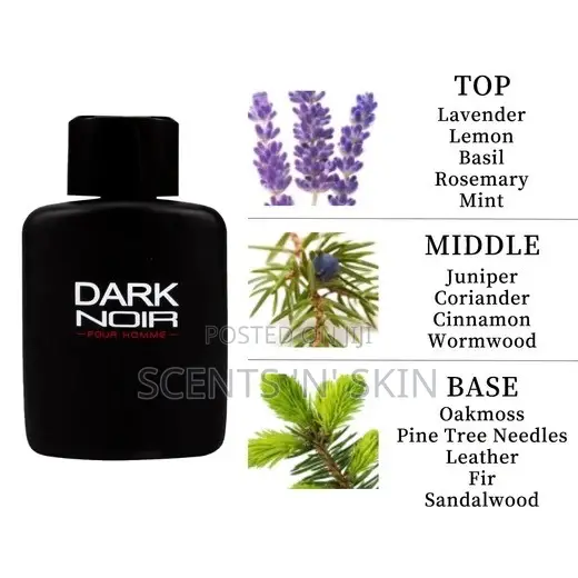 Dark Noir Pour Homme for Men - 100ml