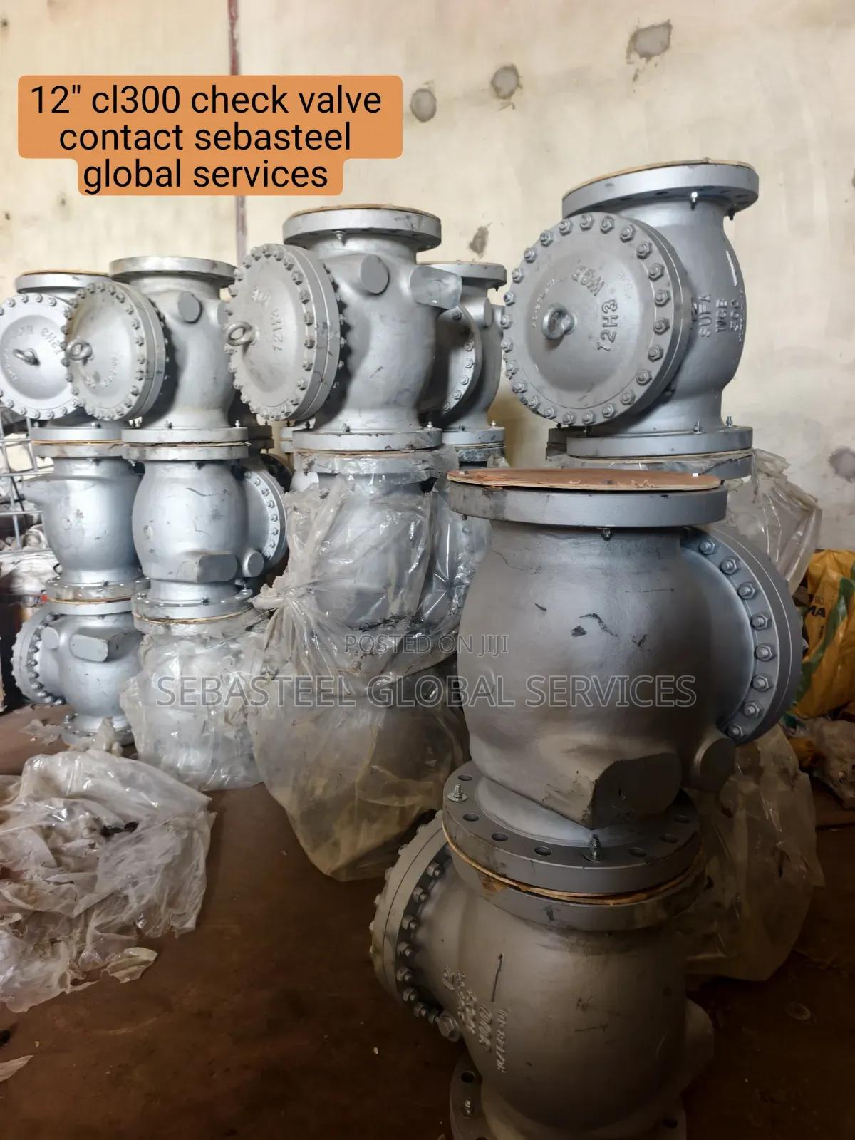 12" Cl300 Check Valve