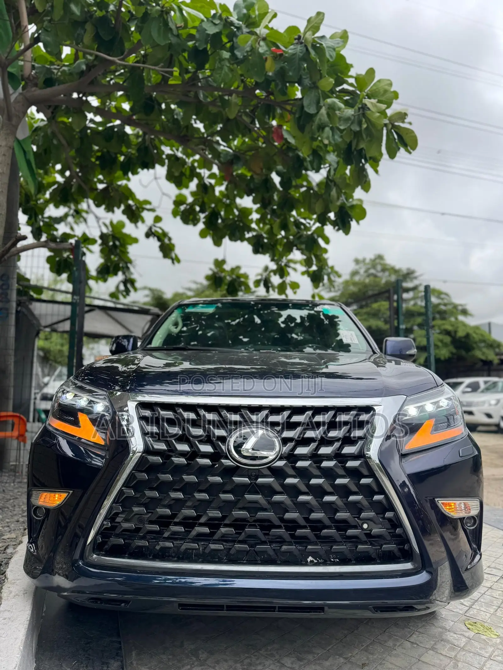 Lexus GX 460 Luxury 2019 Blue