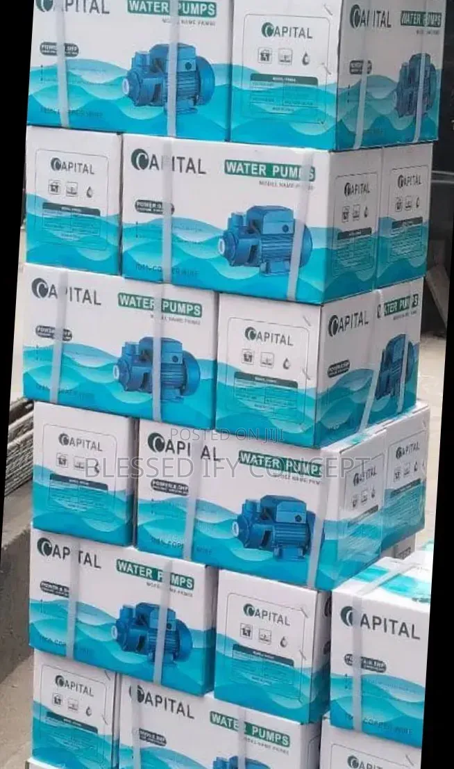 0.5hp Capital Surface Pumping Machine