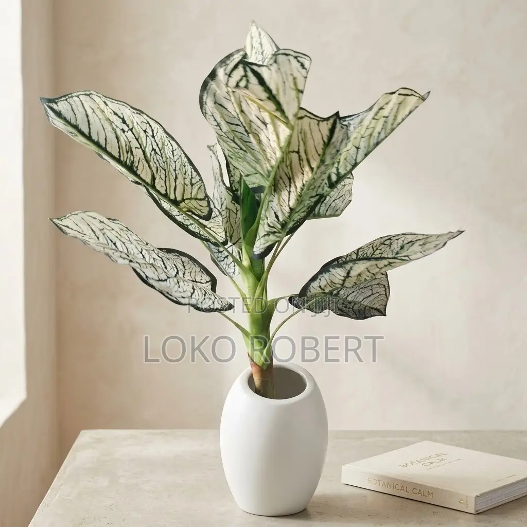 Realistic Aglaonema/Caladium Artificial Flower Vase Plant in White Pot