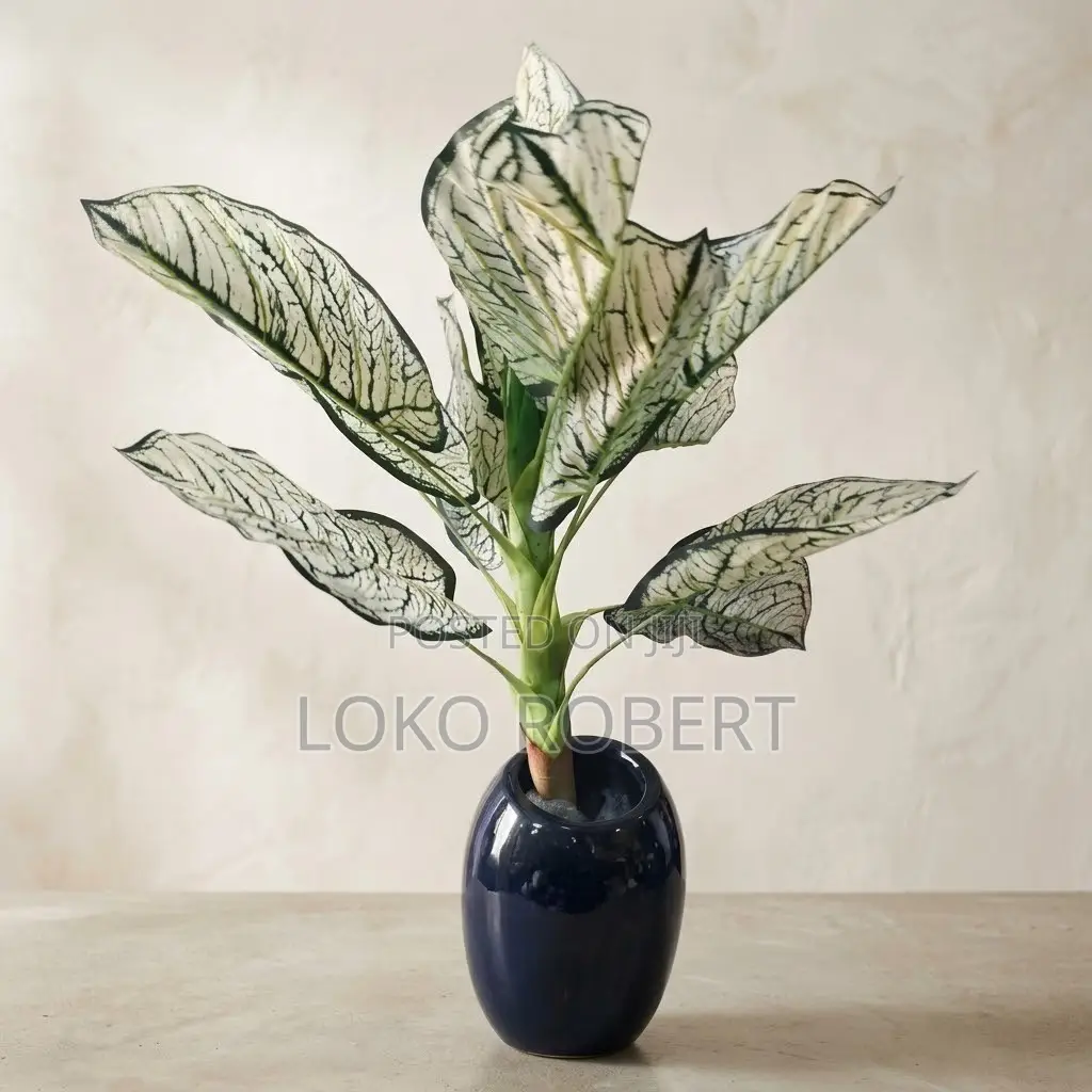 Realistic Aglaonema/Caladium Artificial Flower Vase Plant in White Pot