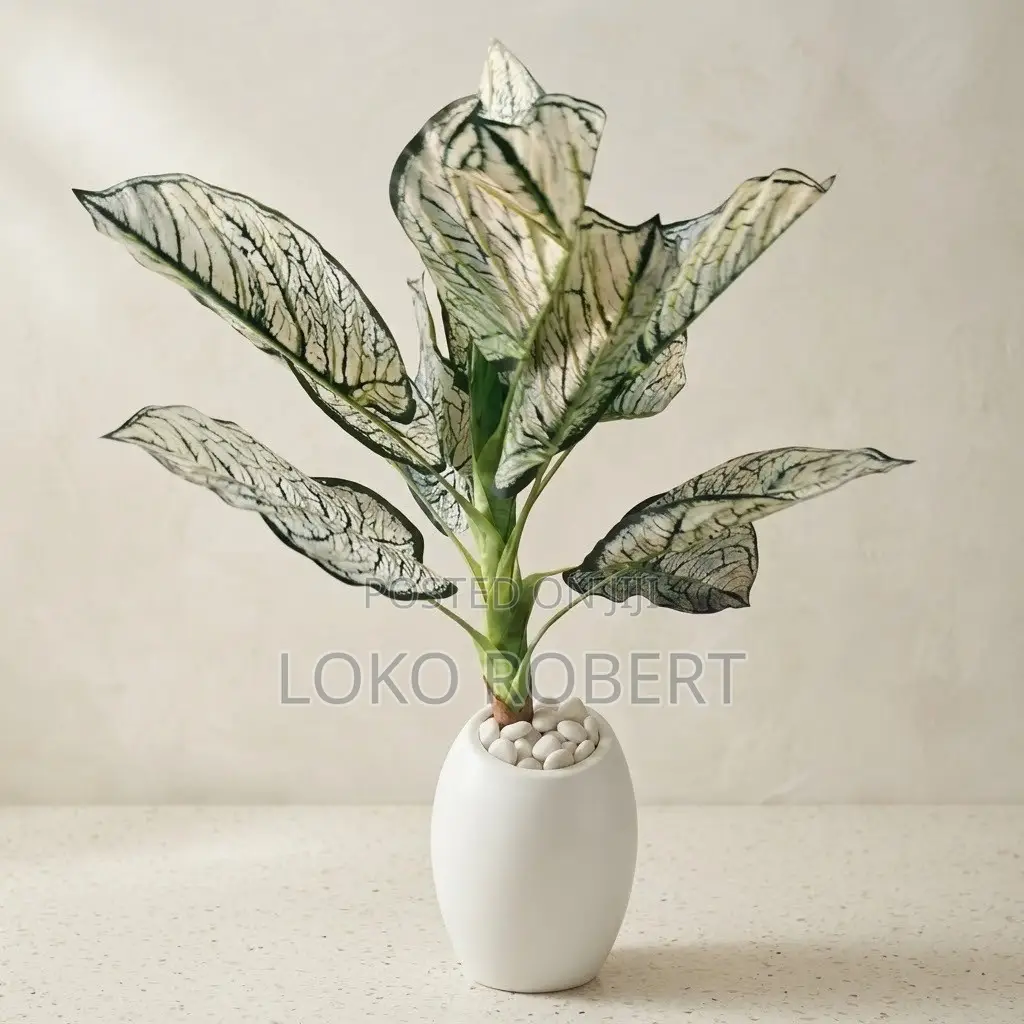Realistic Aglaonema/Caladium Artificial Flower Vase Plant in White Pot