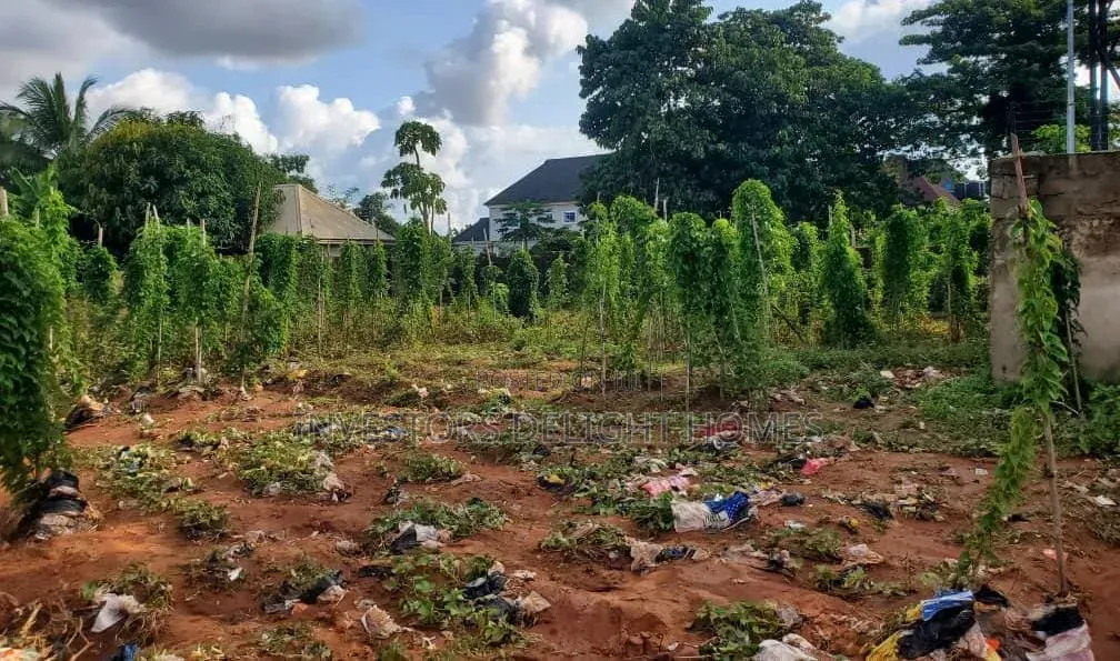Residential/Commercial Land for Sale