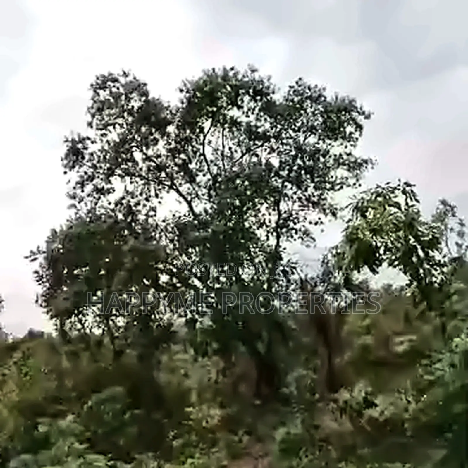 121 Hectares Mixed-Use Land for Sale | Ketti Pyakasa, Abuja