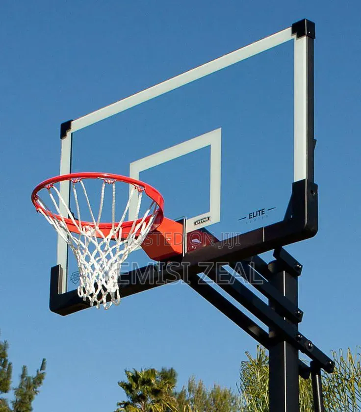 Single Standard Basketball Rim and Net With Free Delivery
