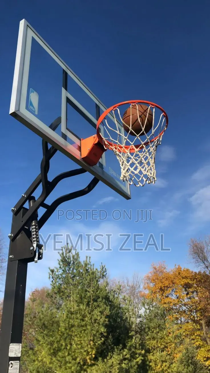 Single Standard Basketball Rim and Net With Free Delivery