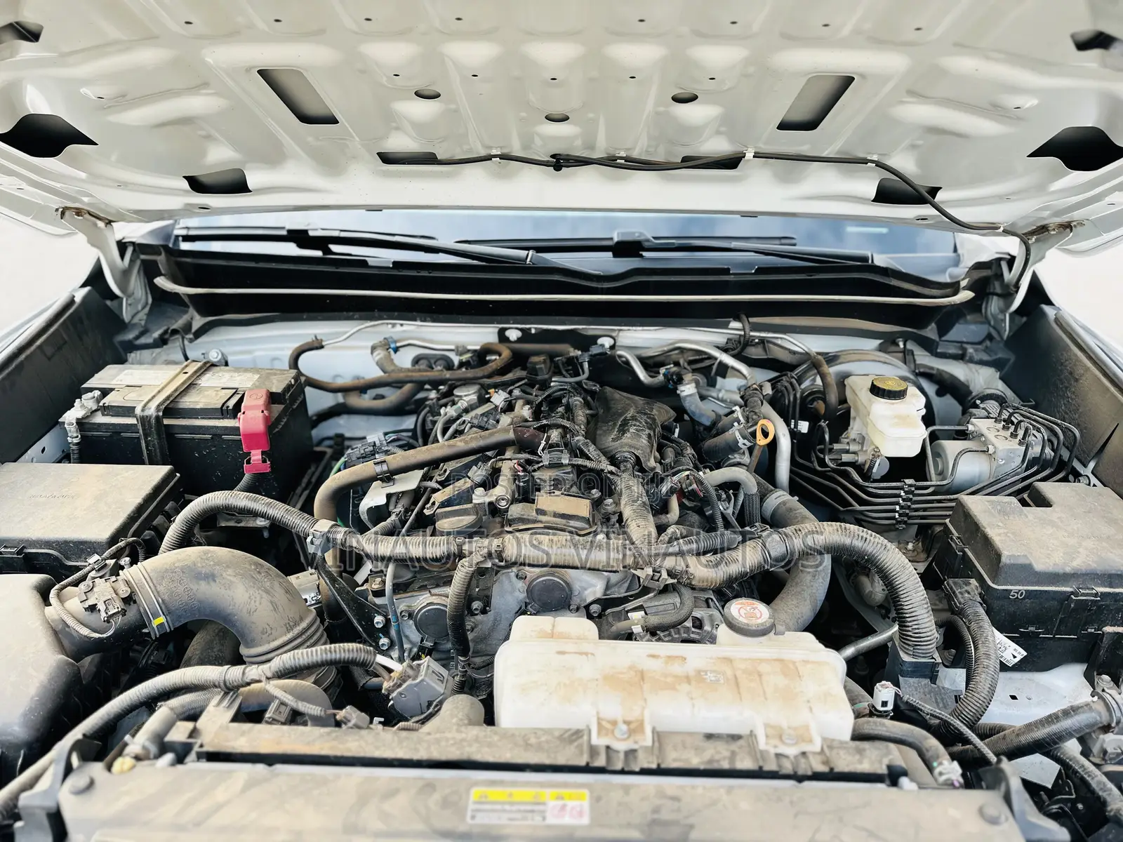 Toyota Tacoma 2024 White