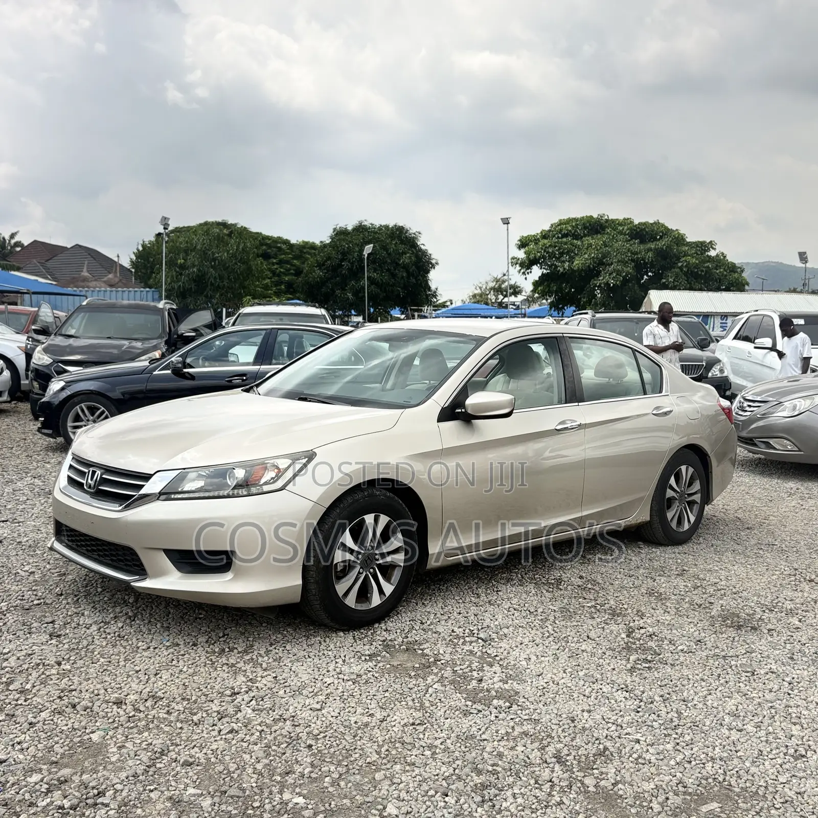 Honda Accord 2014 Gold