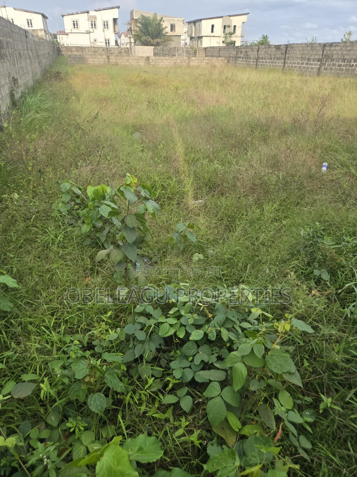 855 Square Meters for Sale in Ago Certificate of Occupancy